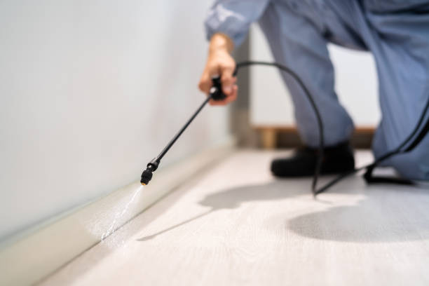 Bed Bug Pre-Treatment Preparation Assessment in Thurmont