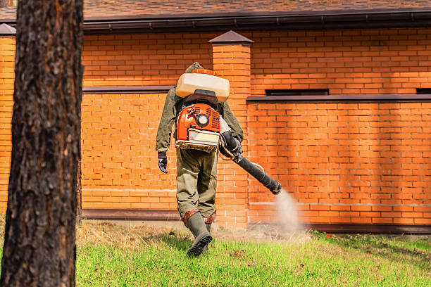 Bed Bug Clearance Verification and Documentation in Thurmont